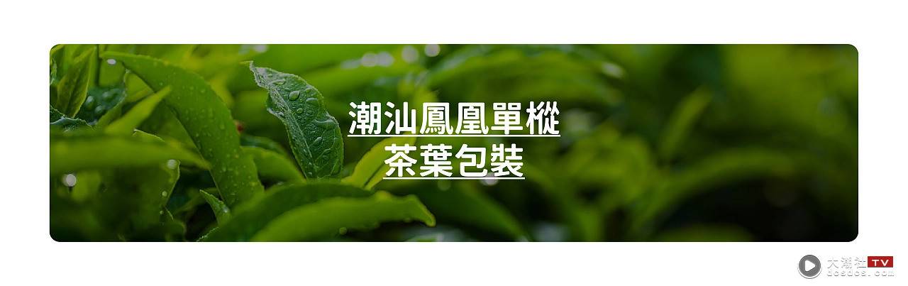 半山茶｜潮汕凤凰单丛茶叶包装设计